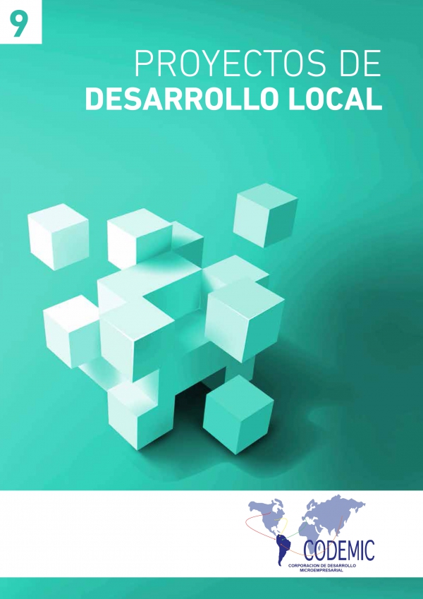 PROYECTOS DE DESARROLLO LOCAL