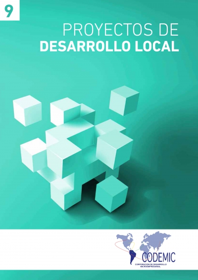 PROYECTOS DE DESARROLLO LOCAL