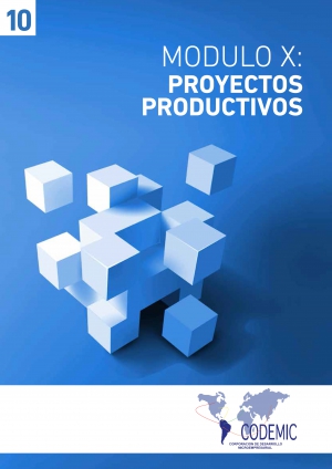 MODULO X: PROYECTOS PRODUCTIVOS