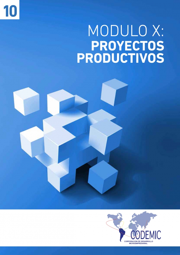 MODULO X: PROYECTOS PRODUCTIVOS